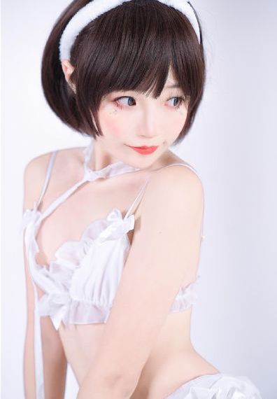 御猫传