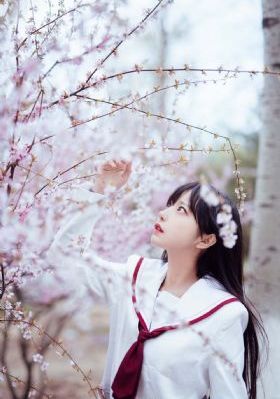 芭比 电影