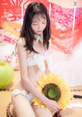 金花瓶楷梅花